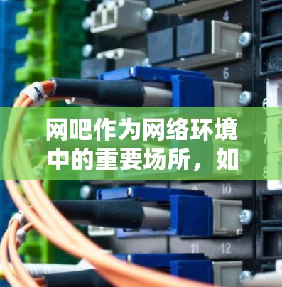 网吧作为网络环境中的重要场所,如何科学上网,确保网络稳定、数据安全和高效使用,是每个用户都需要关注的问题。以下是一些科学上网的步骤和方法 网吧作为网络环境中的重要场所,如何科学上网,确保网络稳定、数据安全和高效使用,是每个用户都需要关注的问题。以下是一些科学上网的步骤和方法