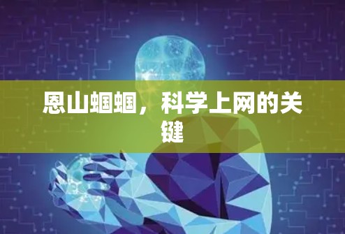 恩山蝈蝈，科学上网的关键