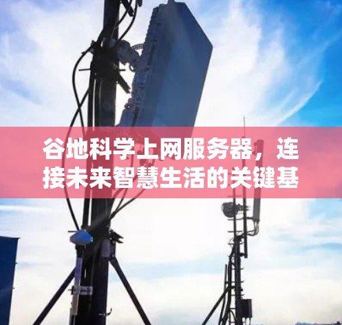 谷地科学上网服务器,连接未来智慧生活的关键基础设施 谷地科学上网服务器,连接未来智慧生活的关键基础设施