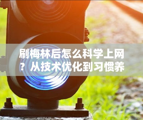 刷梅林后怎么科学上网?从技术优化到习惯养成,让手机成为你的朋友 刷梅林后怎么科学上网?从技术优化到习惯养成,让手机成为你的朋友