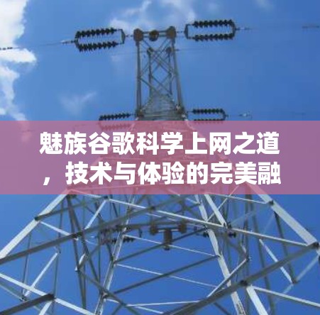 魅族谷歌科学上网之道,技术与体验的完美融合 魅族谷歌科学上网之道,技术与体验的完美融合