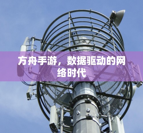 方舟手游，数据驱动的网络时代