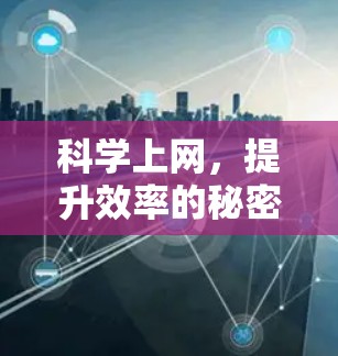 科学上网,提升效率的秘密 科学上网,提升效率的秘密
