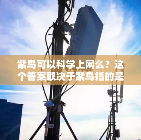紫鸟可以科学上网么?这个答案取决于紫鸟指的是什么。以下是详细的分析 紫鸟可以科学上网么?这个答案取决于紫鸟指的是什么。以下是详细的分析