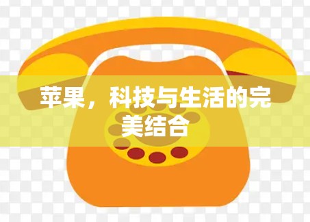 苹果,科技与生活的完美结合 苹果,科技与生活的完美结合