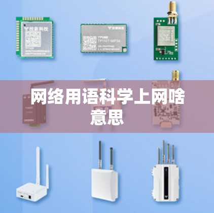网络用语科学上网啥意思