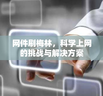 网件刷梅林,科学上网的挑战与解决方案 网件刷梅林,科学上网的挑战与解决方案