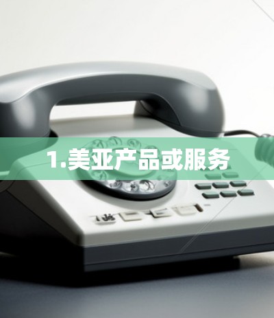 1.美亚产品或服务 1.美亚产品或服务