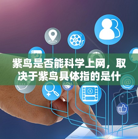 紫鸟是否能科学上网,取决于紫鸟具体指的是什么。如果你指的是某种特定的生物或设备,情况可能会有所不同 紫鸟是否能科学上网,取决于紫鸟具体指的是什么。如果你指的是某种特定的生物或设备,情况可能会有所不同