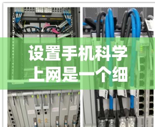 设置手机科学上网是一个细致且系统的过程，需要按照以下步骤进行