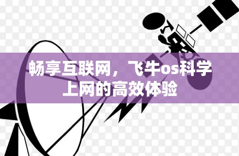 畅享互联网,飞牛os科学上网的高效体验 畅享互联网,飞牛os科学上网的高效体验