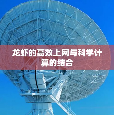 龙虾的高效上网与科学计算的结合 龙虾的高效上网与科学计算的结合