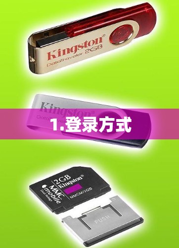 1.登录方式 1.登录方式