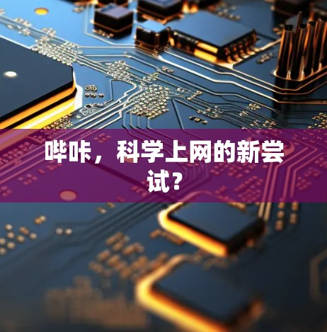 哔咔,科学上网的新尝试? 哔咔,科学上网的新尝试?