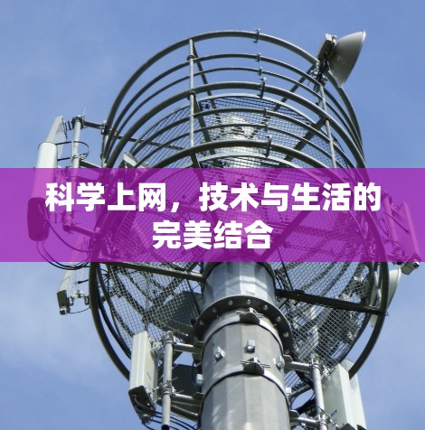 科学上网,技术与生活的完美结合 科学上网,技术与生活的完美结合