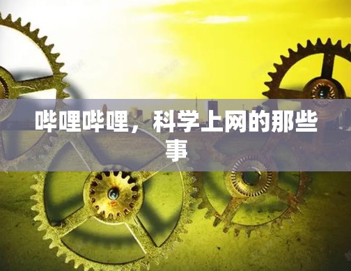 哔哩哔哩,科学上网的那些事 哔哩哔哩,科学上网的那些事