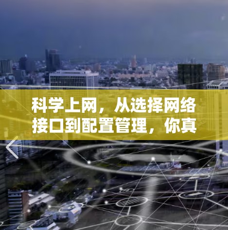 科学上网,从选择网络接口到配置管理,你真的掌握了吗? 科学上网,从选择网络接口到配置管理,你真的掌握了吗?