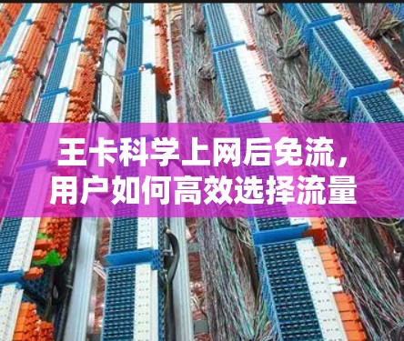 王卡科学上网后免流,用户如何高效选择流量控制方案 王卡科学上网后免流,用户如何高效选择流量控制方案