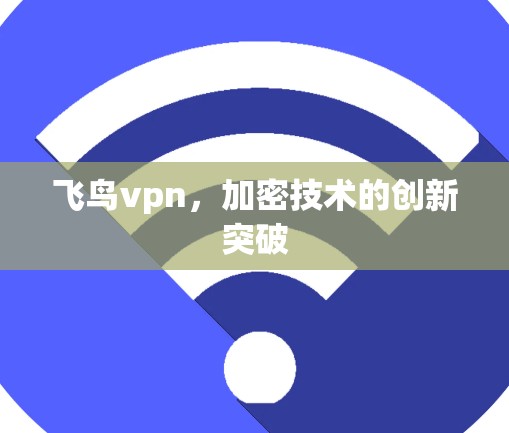 飞鸟vpn，加密技术的创新突破