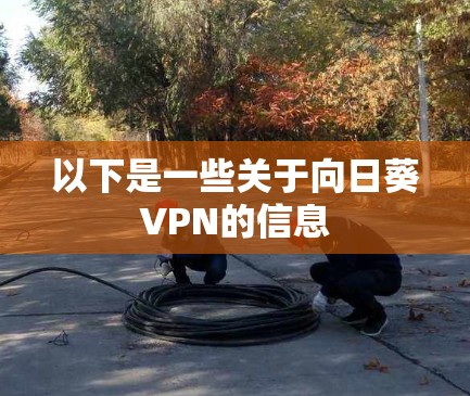 以下是一些关于向日葵VPN的信息 以下是一些关于向日葵VPN的信息