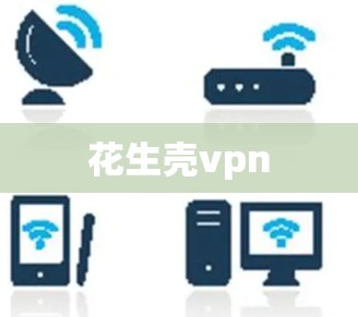 花生壳vpn 花生壳vpn